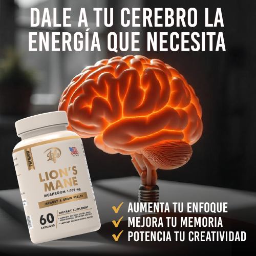 Melena de León, para potenciar tu memoria, mantener la mente ágil y proteger tu salud cerebral a largo plazo de forma natural